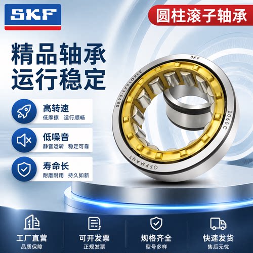 瑞典SKF进口圆柱滚子轴承