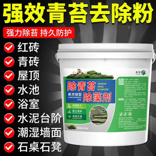 青苔清除剂水泥地强力清除蓝绿藻地面墙面老院子除青苔专用克星