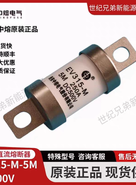 西安中熔保险EV315-M-5M500VDC100A150A250A300A新能源汽车熔断器