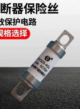 中熔EV325-4GL 16/20/25/32/40/50/63/100A DC750V 熔断器保险丝