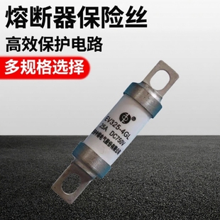 100A 熔断器保险丝 DC750V 中熔EV325 4GL