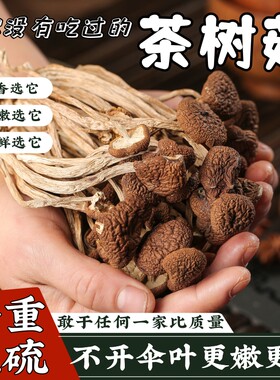 茶树菇干货500g菌菇野生菌土特产