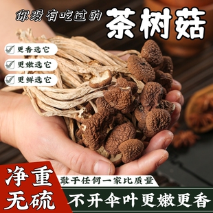 茶树菇500g干货不开伞菌菇野生菌香茹蘑菇古田土特产批发煲汤食材