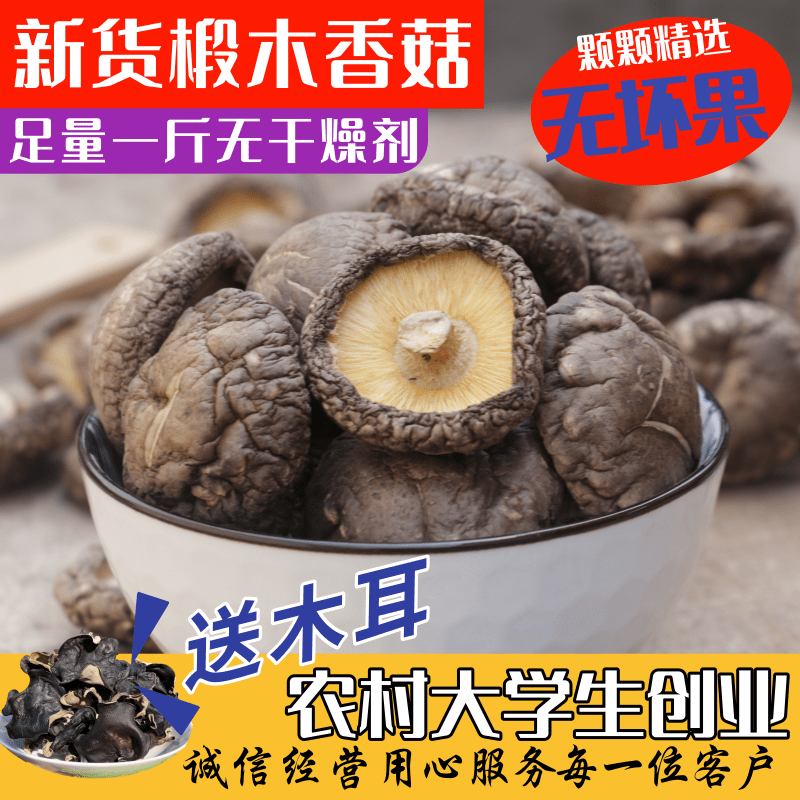伏牛山香菇椴木香菇500g干货商用特级野生菌菇小香菇冬菇花菇新货高性价比高么？