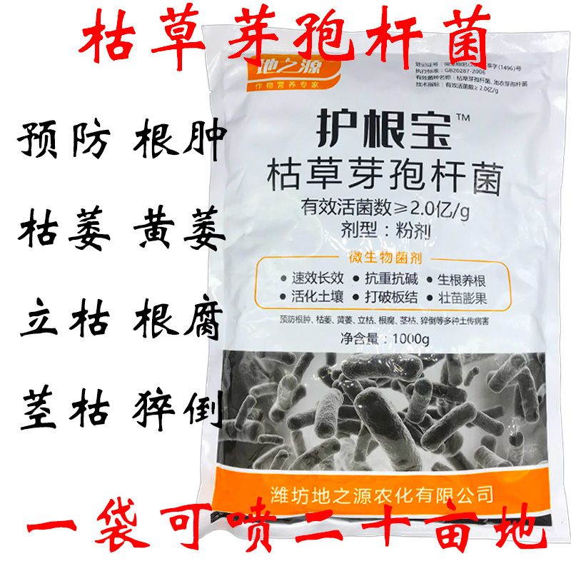 枯萎黄萎根肿立枯根腐茎枯猝倒枯草芽孢杆菌撒施灌根喷施叶面肥
