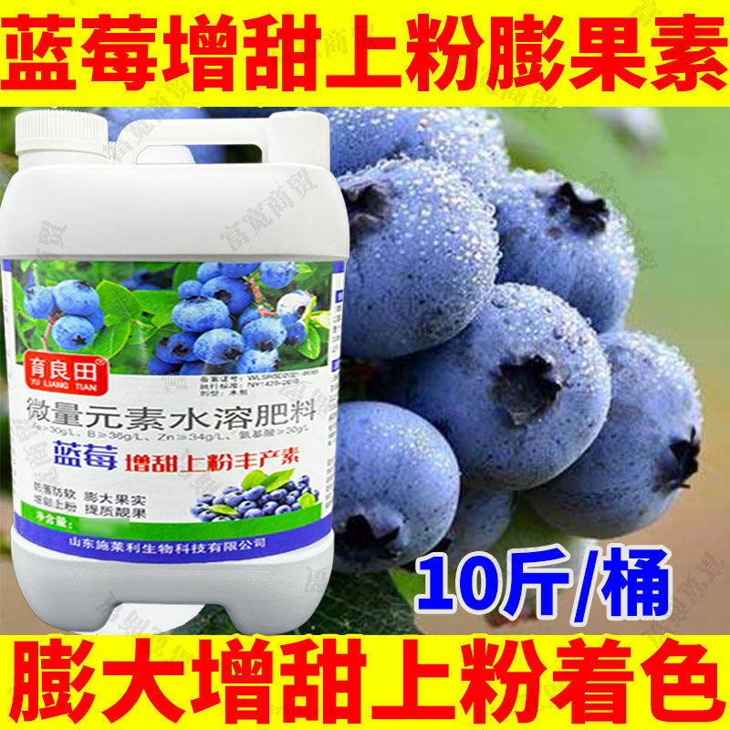 蓝莓膨大素增甜上粉防裂防软膨果增甜抗病增产提早上市蓝莓专用肥