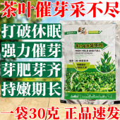茶叶催芽采不尽抗病抗菌催芽一喷绿嫩芽多防冻增产芽头多等叶面肥