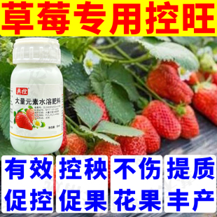 草莓控旺专用药促控剂控秧促果矮化植株不伤花果抑制疯长旺长正品