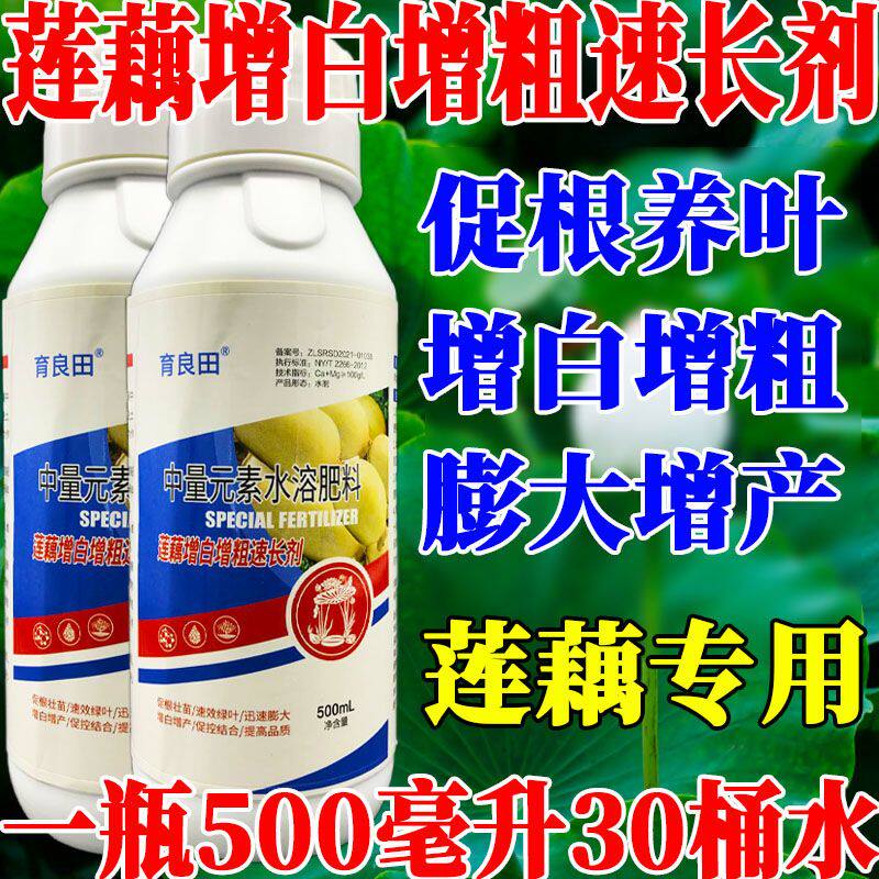 莲藕增白增粗速长剂补充营养强力膨大节粗节长增白促长莲藕专用肥