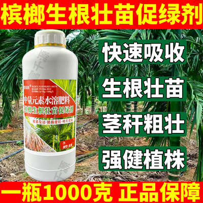 槟榔生根壮苗促绿剂强效壮根养树