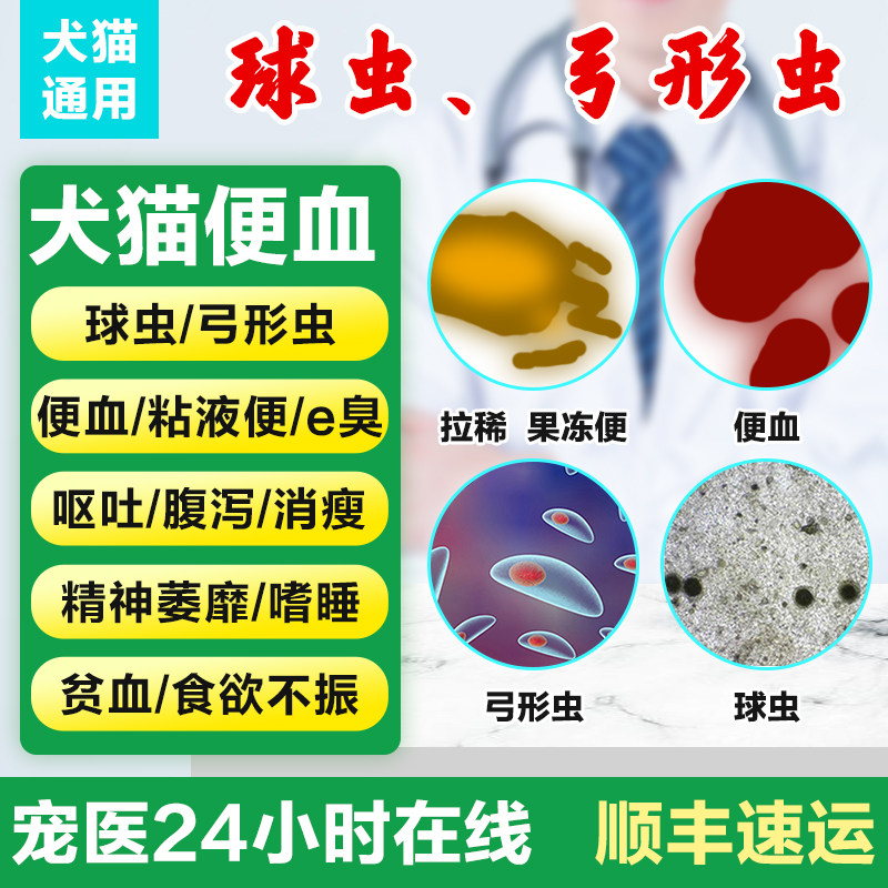 狗狗猫咪球虫弓形虫便血拉稀腹泻猫拉稀止泻软便稀便犬食欲精神差