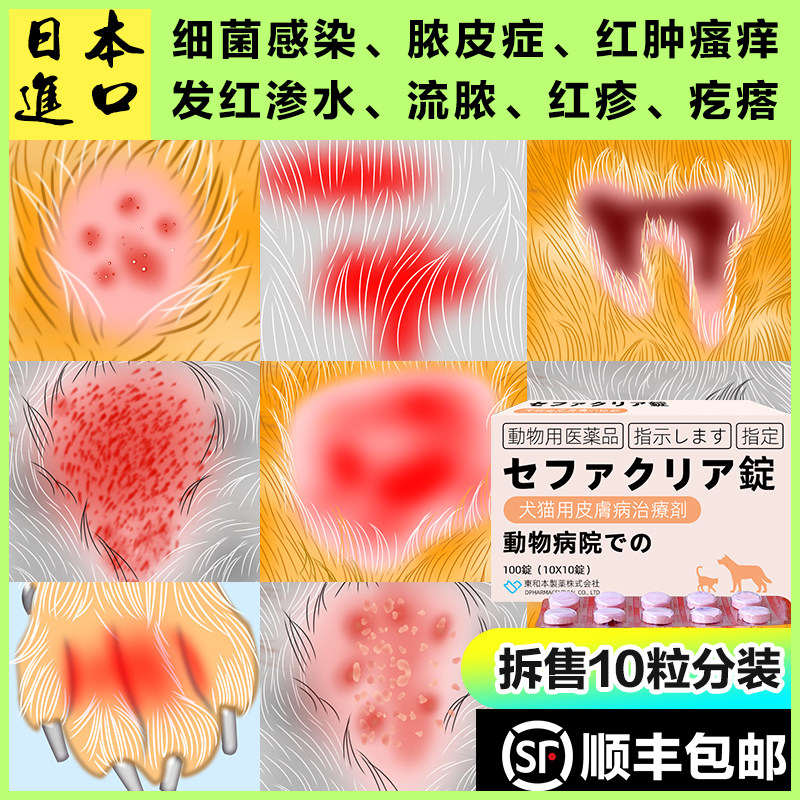 狗狗皮肤病专用药脓皮症狗猫咪细菌性感染湿疹红肿内服趾间炎宠物