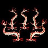 利维坦全形态模型死神海龙幽灵利维坦家族深海迷航3d打印大号玩具