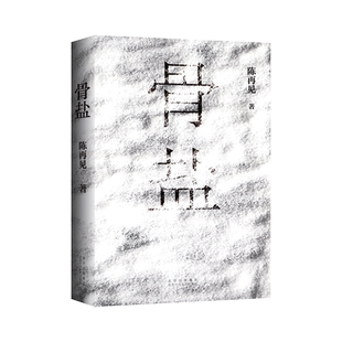 骨盐（80后实力派小说家陈再见长篇新作 少年失踪 雷管炸车 盐田白骨 宗族械斗 灵魂救赎 人心迷局）新经典