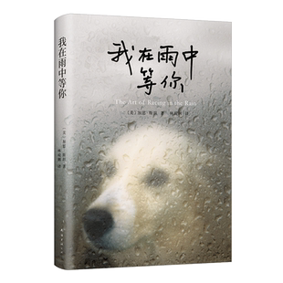 【官方自营】 我在雨中等你 正版现货 畅销 宠物 电影 文学 导盲犬小Q 同名电影2019在美火热上映 忠犬八公的故事 新经典 包邮