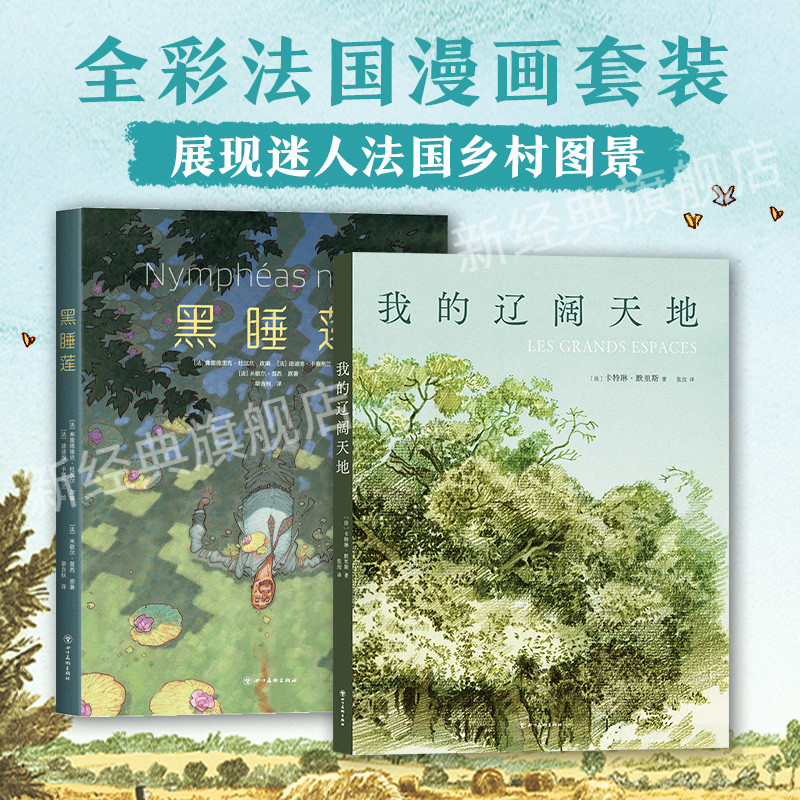 新经典图书全彩法语漫画