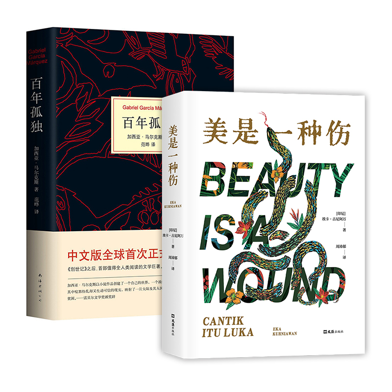新经典百年孤独+美是一种伤