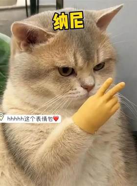 迷你网红小手手指逗猫小玩具恶搞怪指手套撸猫猫咪逗猫手指可拉伸