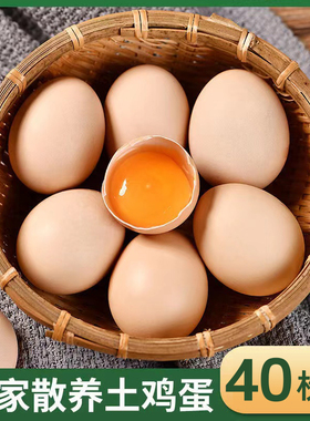 云依禾农庄正宗新鲜农家土鸡蛋散养生鸡蛋柴鸡蛋草鸡蛋笨鸡蛋40枚