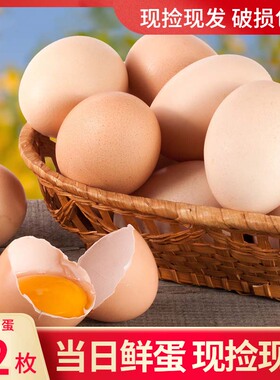 云依禾农庄正宗新鲜农家土鸡蛋散养生鸡蛋柴鸡蛋草鸡蛋笨鸡蛋12枚