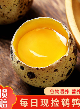 新鲜鹌鹑蛋50枚装农家散养生鹌鹑蛋鸟蛋宝宝营养辅食破损包赔