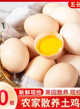 云依禾农庄正宗新鲜农家土鸡蛋10枚散养生鸡蛋柴鸡蛋草鸡蛋笨鸡蛋