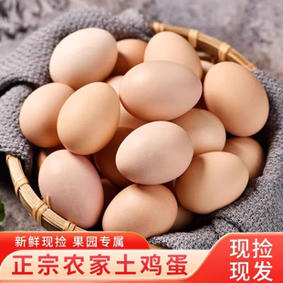 云依禾农庄正宗农家散养土鸡蛋鲜鸡蛋月子蛋初生蛋谷物蛋