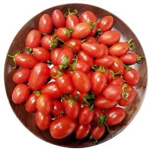 千禧小西红柿新鲜水果5斤圣女果当季蔬菜新鲜樱桃小番茄脆甜整箱