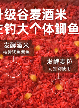 鹤渔人谷麦酒米窝料野钓打窝传统钓鲫鱼捏团握团定点钓鱼打窝米