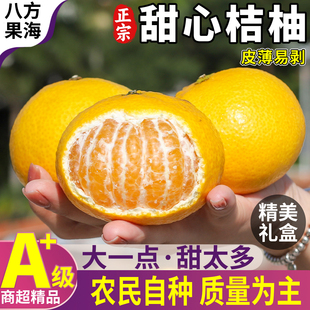 福建甜桔柚新鲜水果柚子甜心柚黄金贡柚橘柚整箱包邮农民橙桔子柚