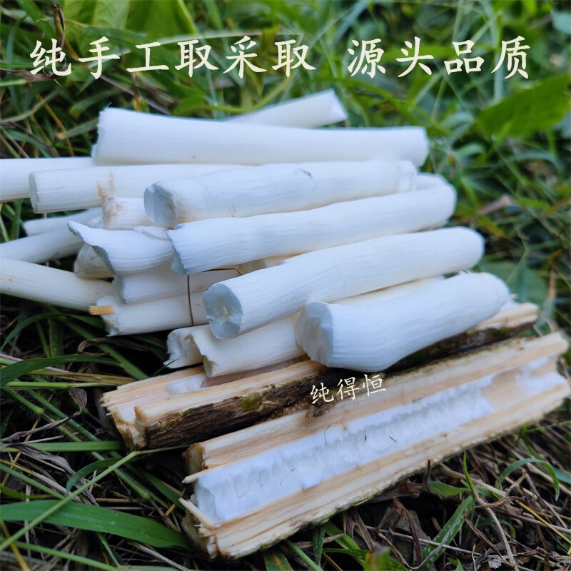 纯得恒野生通草大通草