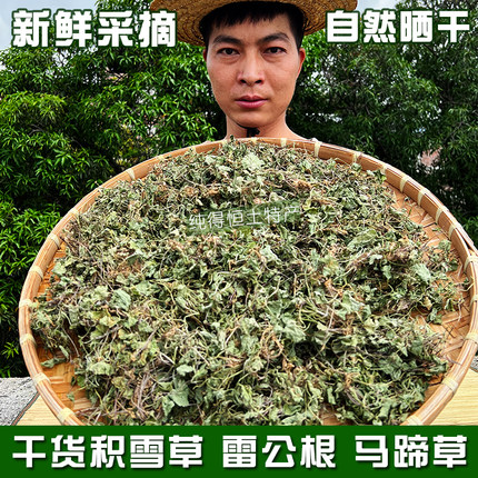 纯得恒采挖雷公根积雪草马蹄草崩大碗连线草铜钱草500g包邮