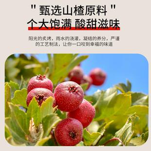 新货好艺元素 山楂果酱山楂莓莓果酱烘焙店奶茶店专用山楂草莓果