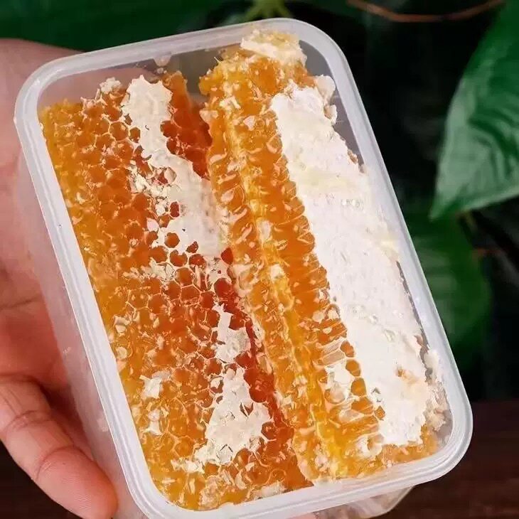 蜂巢蜜蜂巢蜜嚼着吃盒装500g百花农家自产土蜂蜜纯正天然老蜜