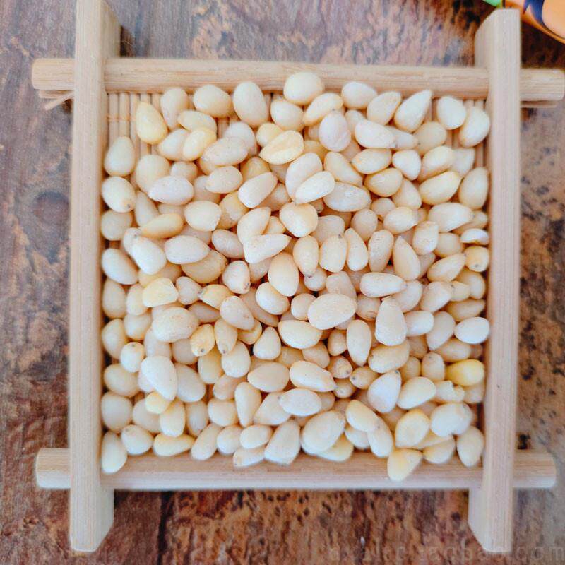 正宗新货野生偃松仁大兴安岭马尾松子仁小松仁东北野生松籽仁500g