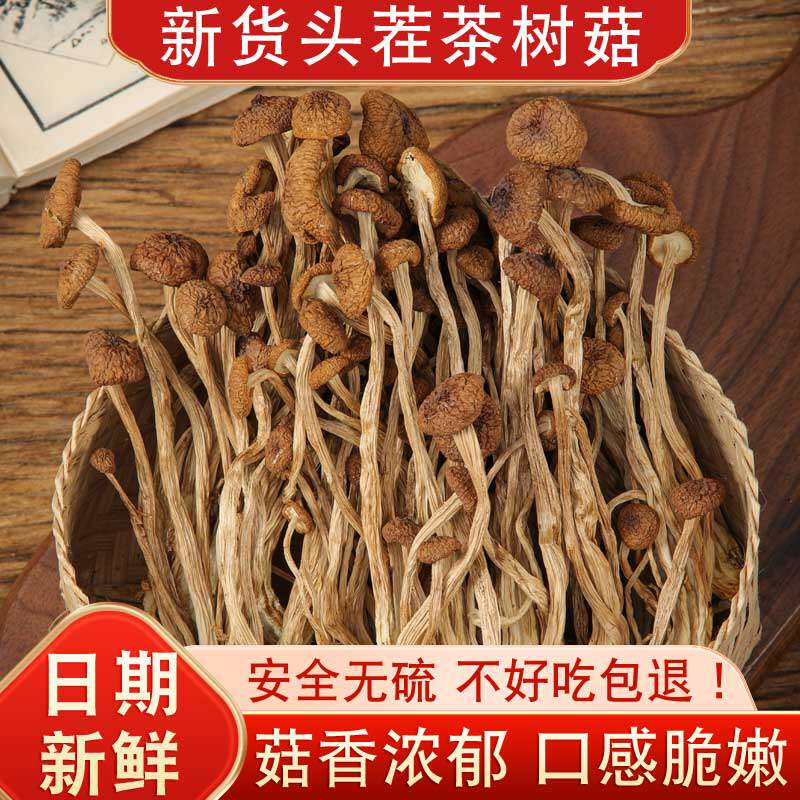 古田特产茶树菇干货 精品茶树菇不开伞 云南香菇煲汤食材500g