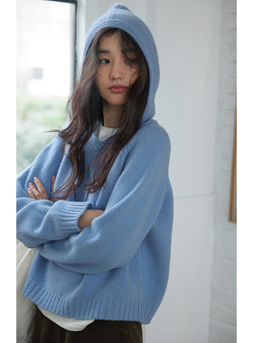 solighter法式全羊毛蓝色v领连帽毛衣女秋冬2025新款套头针织上衣