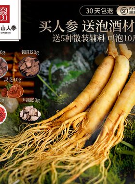 拍2发500g长白山新鲜人参泡酒人参保鲜参赠鹿茸锁阳灵芝玛咖枸杞