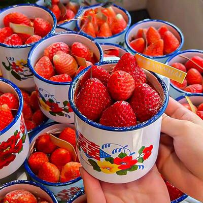 搪瓷杯大红花搪瓷盆烘焙装扮