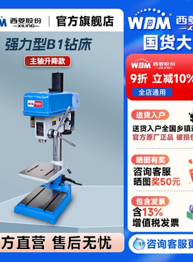 西菱钻床B1系列主轴箱升降工业级强力型钻床电动台式台钻Z4116B1