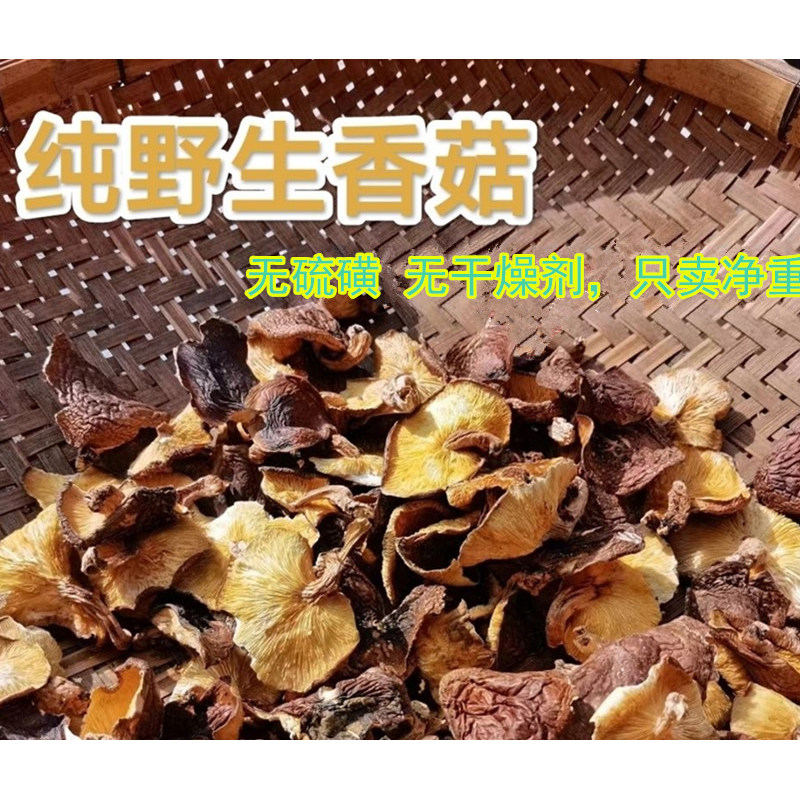 广西农家自晒广西纯野生香菌干货香菇类