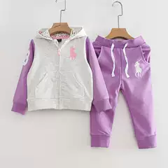 Foreign Trade Baby Girl Spring and Autumn Outfit Set, Casual Two-Piece Set for Young Children, Pure Cotton Hooded Sweatshirt for Going Out