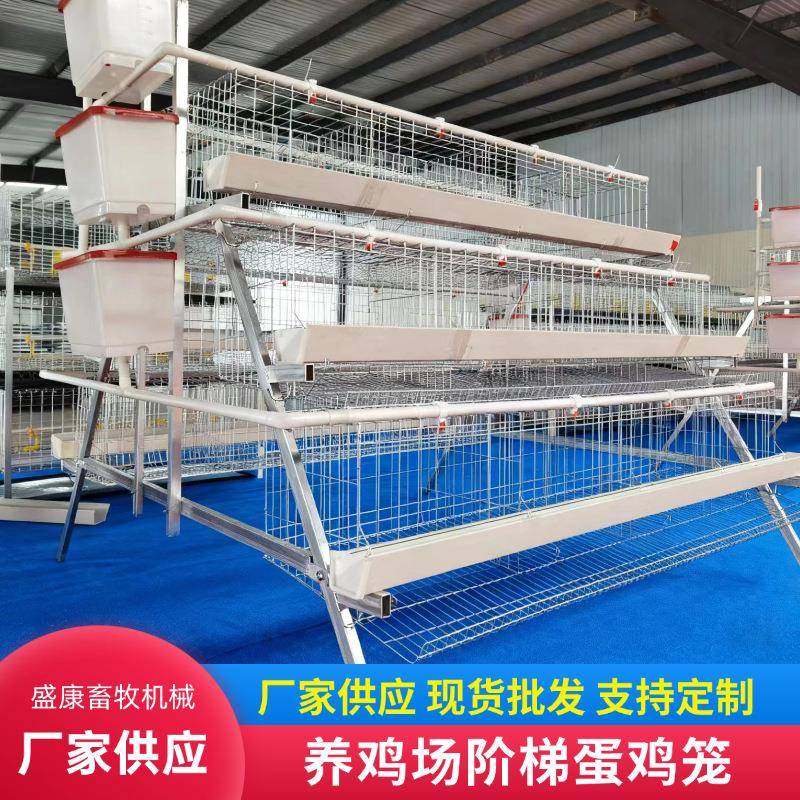 鸡场用阶梯蛋鸡笼养殖场鸡舍蛋鸡笼后热镀锌层叠式阶梯式蛋鸡笼,畜牧/养殖物资,特种养殖设备,淘宝优惠券,粉丝福利购,淘宝优惠卷