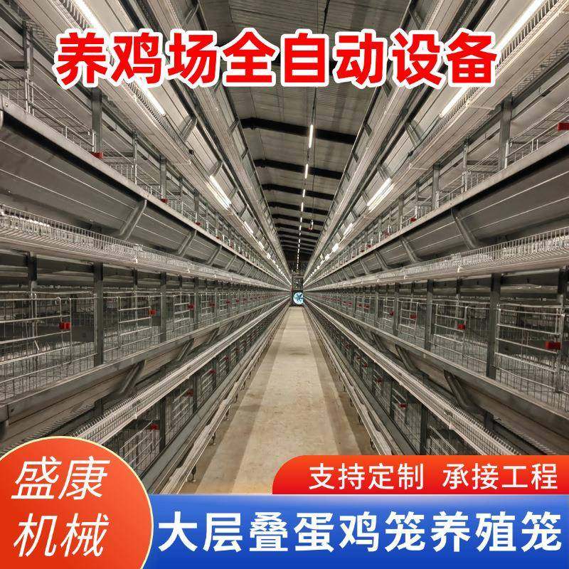 大层叠蛋鸡笼大层叠全自动化蛋鸡笼规模化养殖全自动框架笼蛋鸡笼,畜牧/养殖物资,特种养殖设备,淘宝优惠券,粉丝福利购,淘宝优惠卷