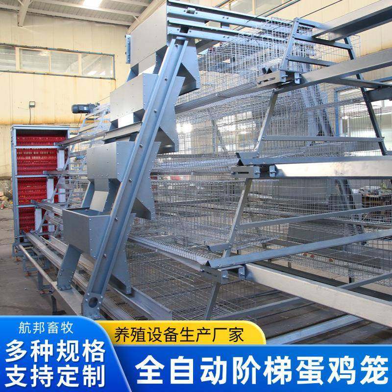 全自动阶梯蛋鸡笼厂自动清粪捡蛋蛋鸡笼多层阶梯镀锌养鸡养殖设备,畜牧/养殖物资,特种养殖设备,淘宝优惠券,粉丝福利购,淘宝优惠卷