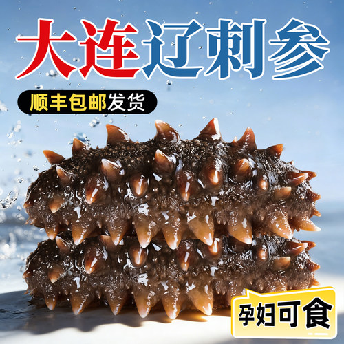鲜蒸海参大连即食海参辽刺参二斤