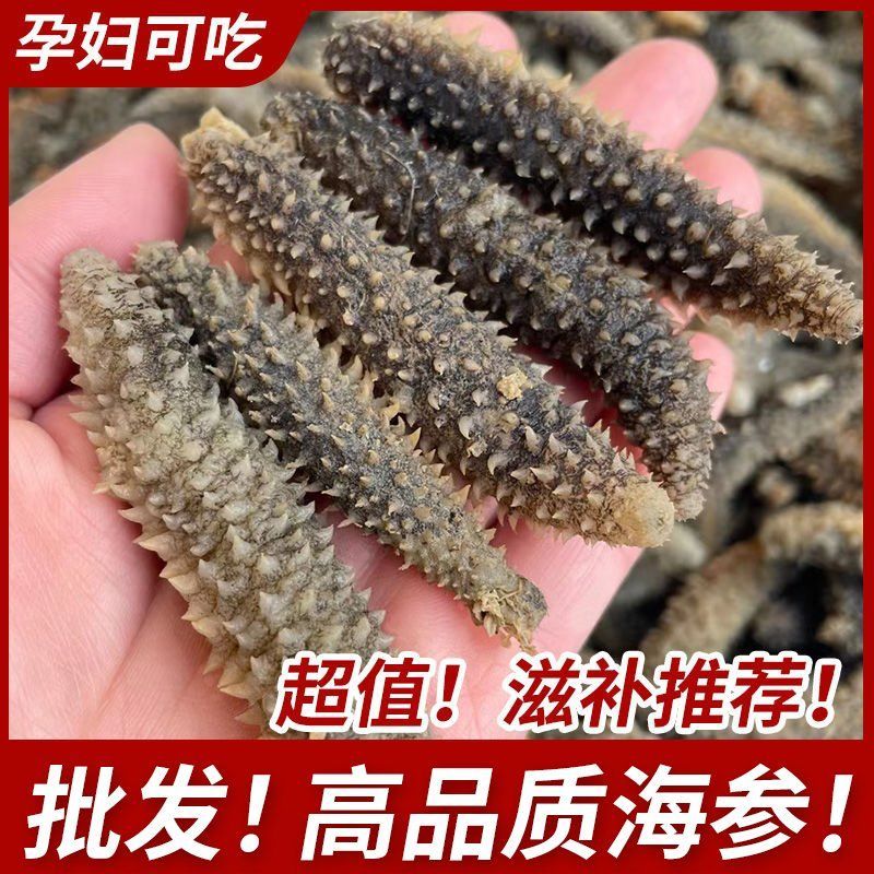 淡干海参黑刺参新鲜海参干货