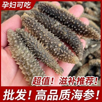 淡干海参黑刺参新鲜海参干货