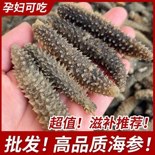 淡干海参黑刺参新鲜海参干货