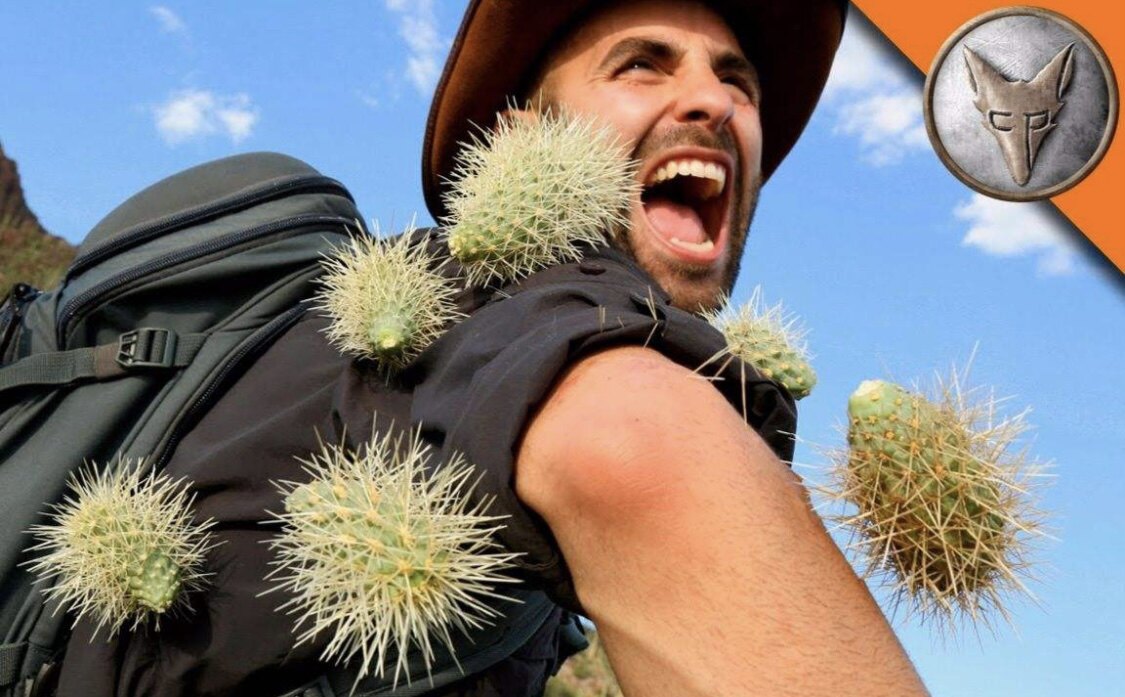 渣男专属仙人掌礼物专送渣男扎手多肉植物